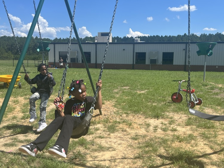 picture of students in a swing