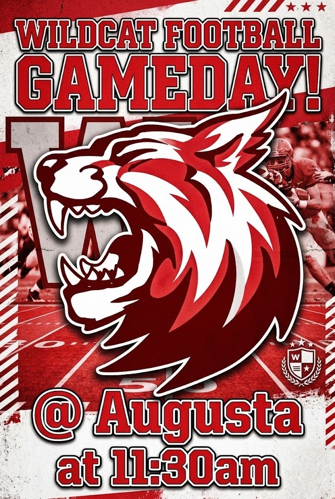 wildcats