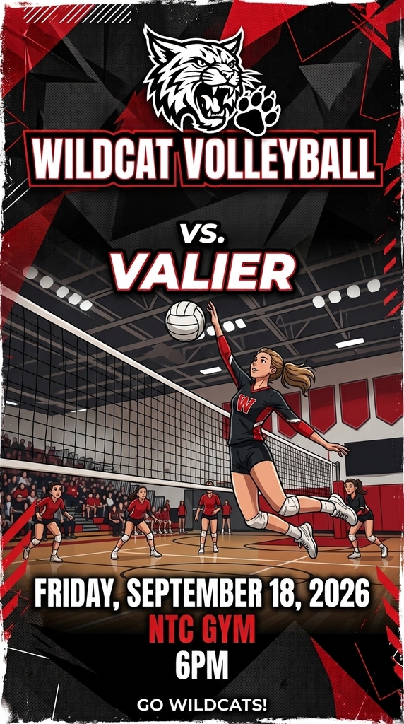 wildcat VB