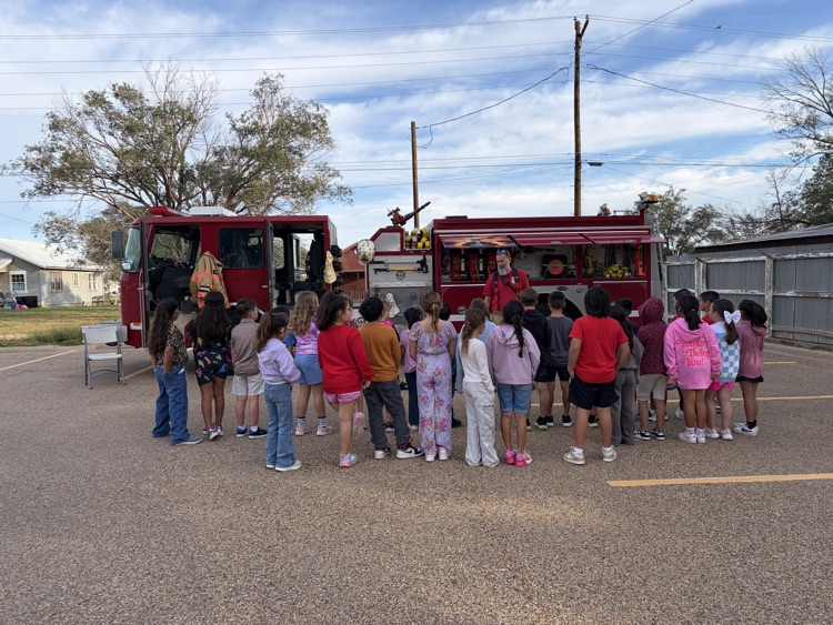 Cars and Careers