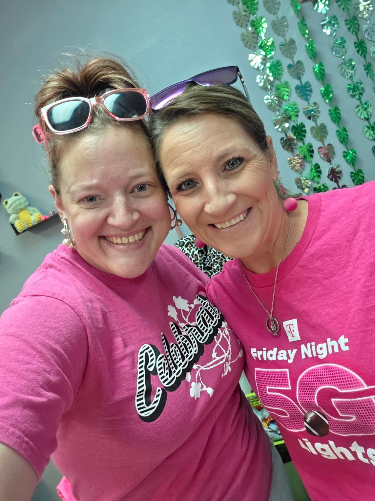 teachers dressed in pink