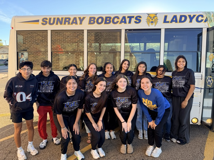 cross country regional runners