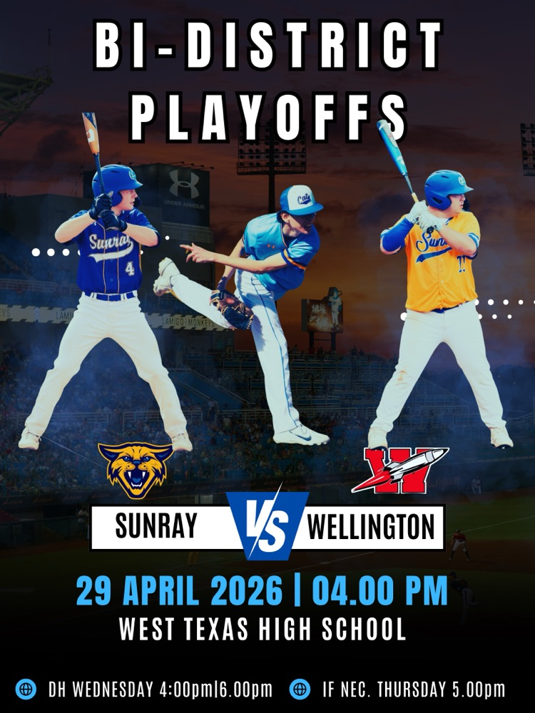 playoff baseball game  