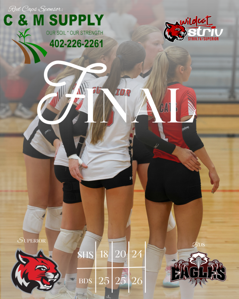vb score