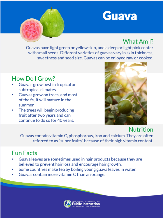 guava