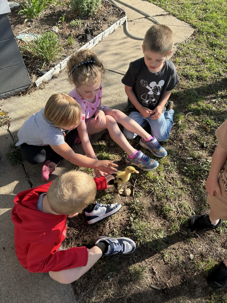 Preschoolers saying hi to the duckling 