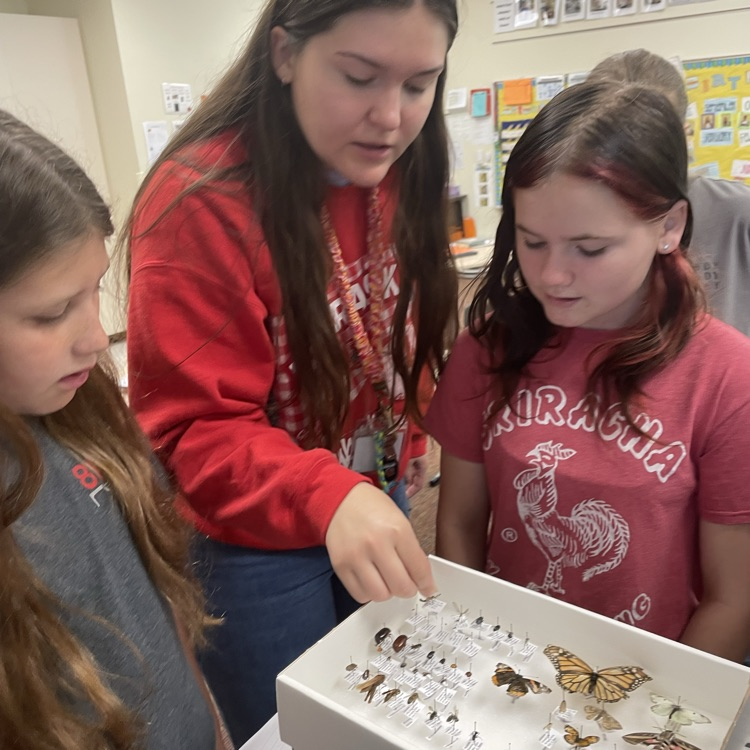 Cailyn Barry show students her insect project! 