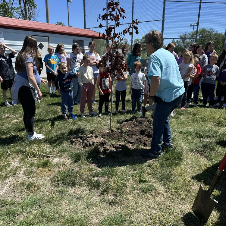 Kindergartners taking their turn filling the hole with dirt.