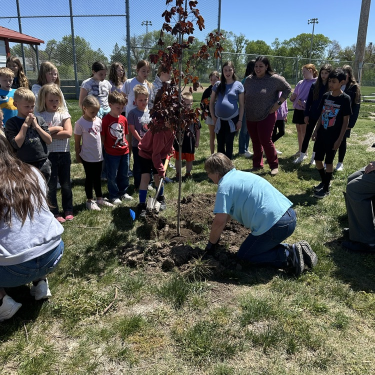 Planting the tree