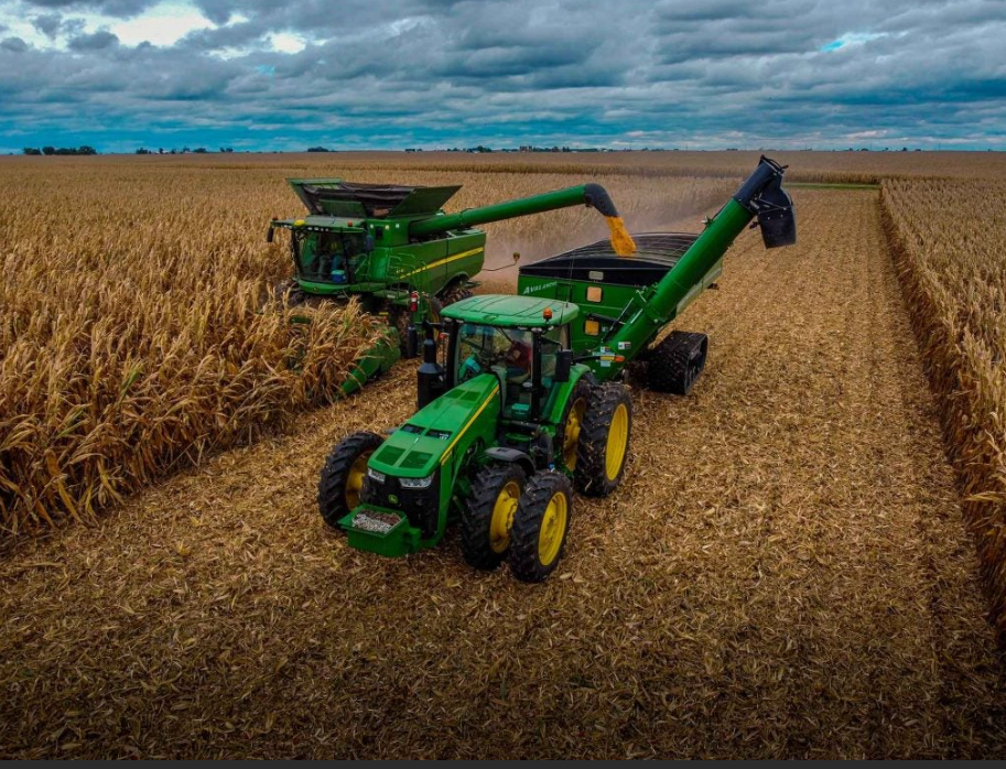 corn harvest