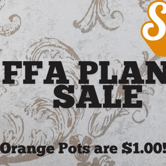 FFA  Plant Sale