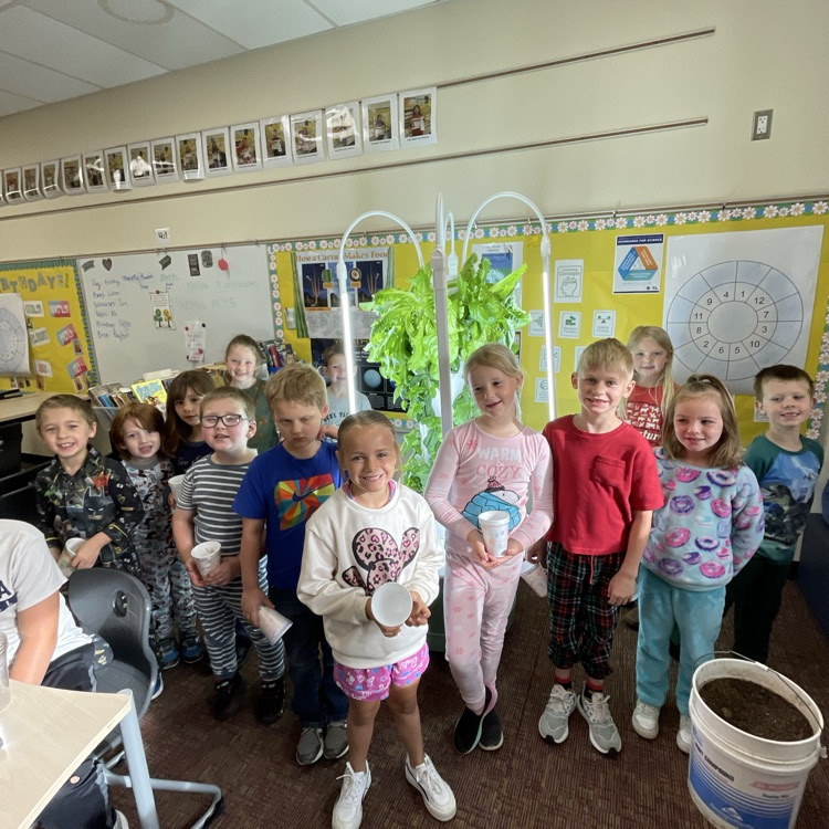 Kindergarteners decorated their planting cups 