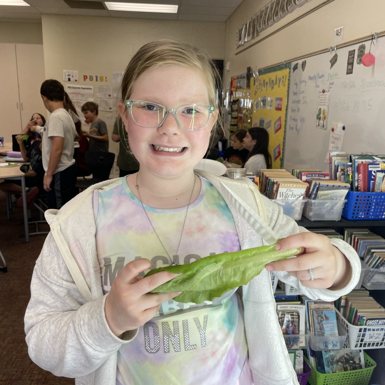 That's a healthy lettuce leaf! 