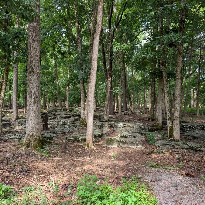 trees