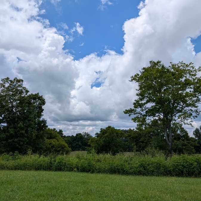 cloud