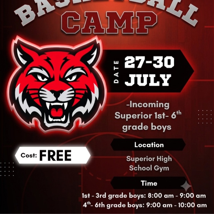 boys youth basketball camp