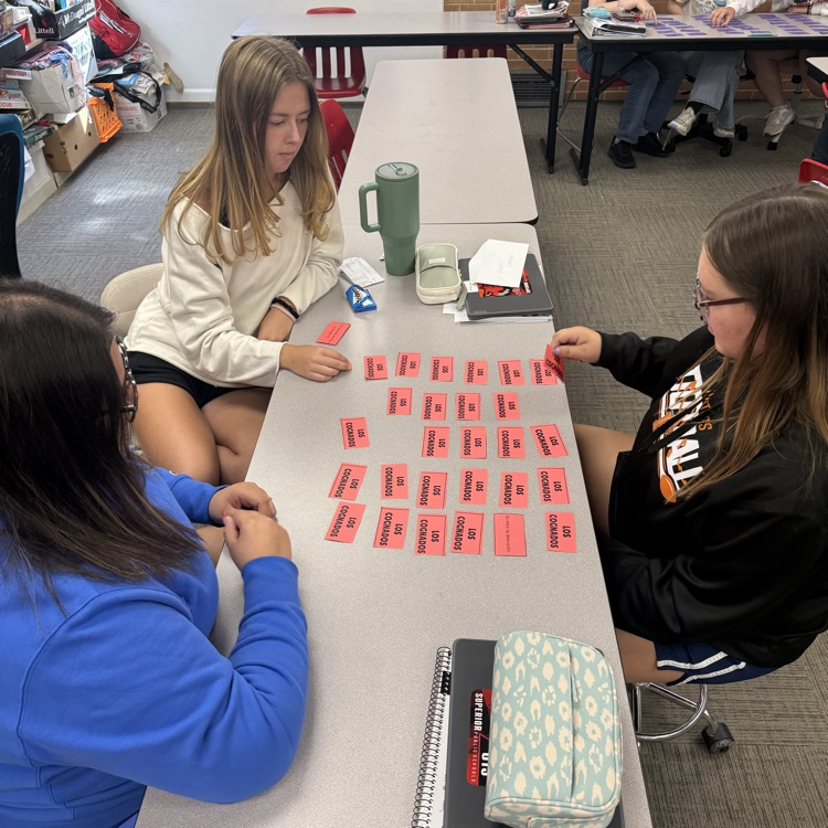 girls playing memory