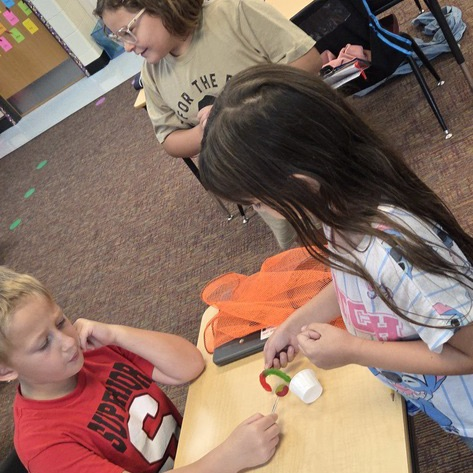 students working at a desk trying to put a life jacket on a gummy worm.