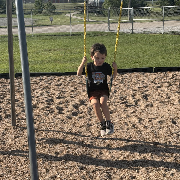 love the swings 