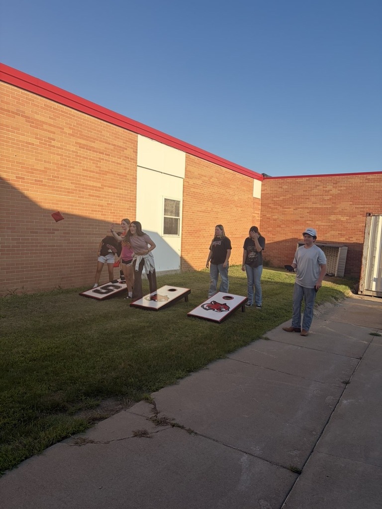 Cornhole