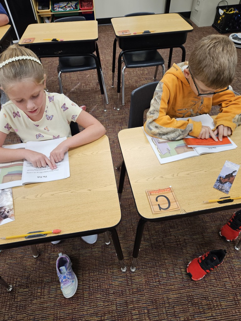 partner reading