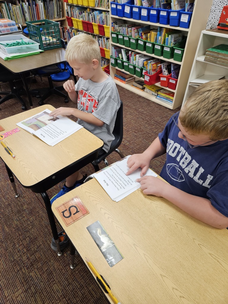 focusing on reading