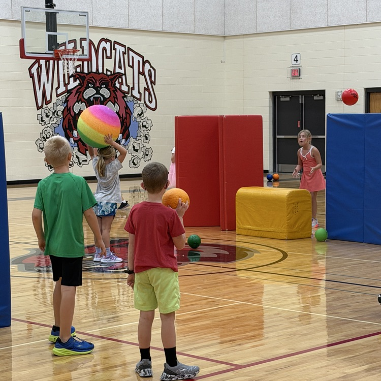 pe fun