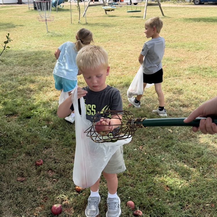 apple picking tool