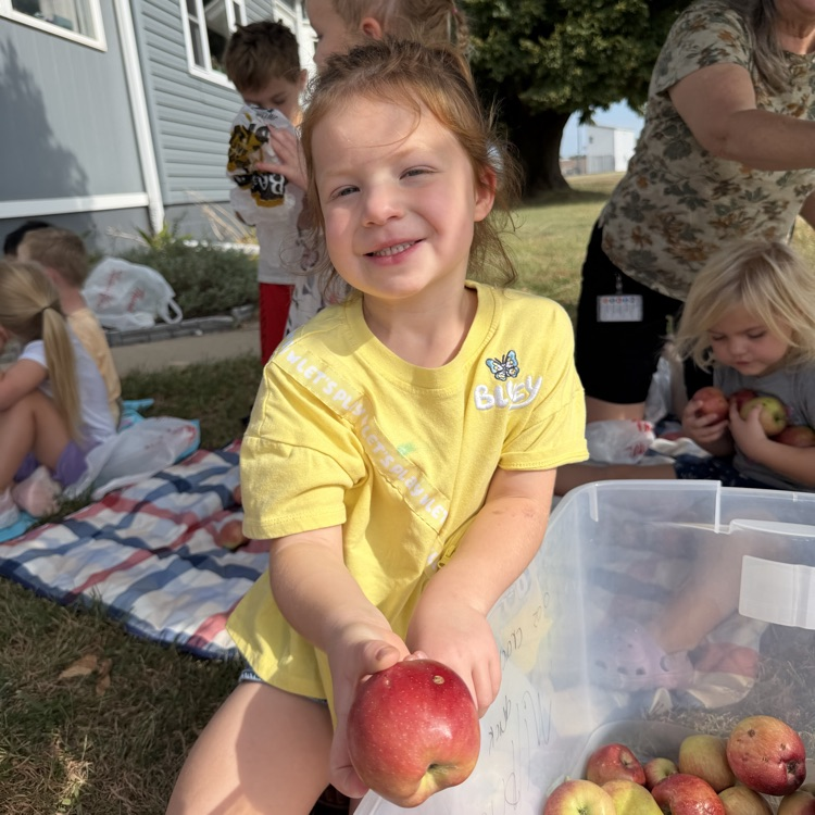 sorting apples