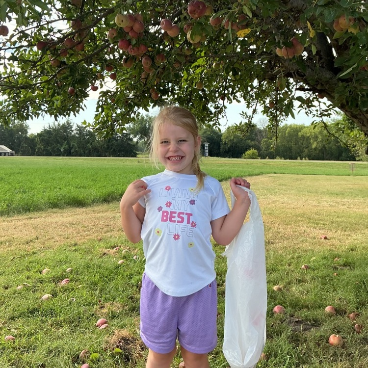 Apple picking