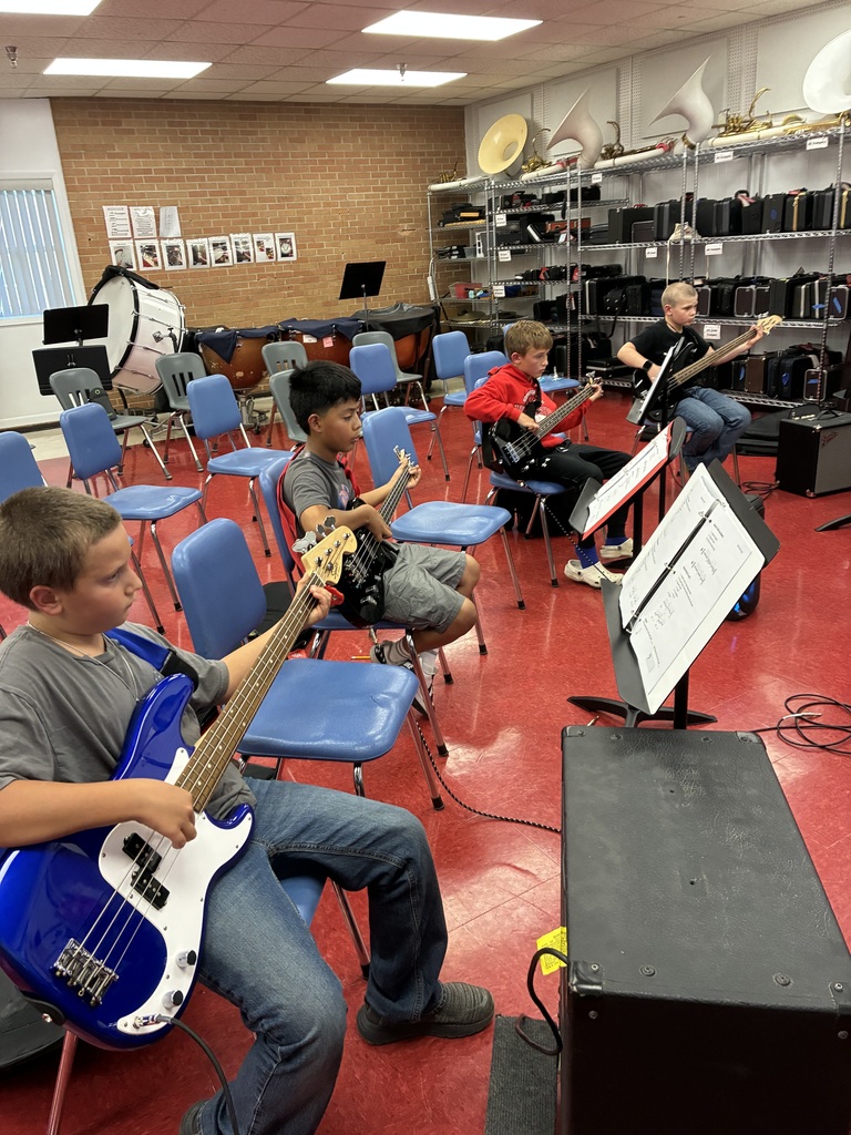 electric bass players