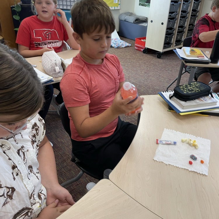 5th graders learned that a solution is a homogenous mixture 