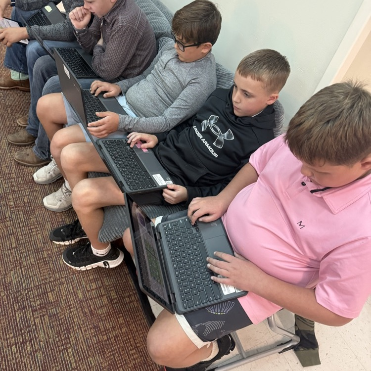 💻