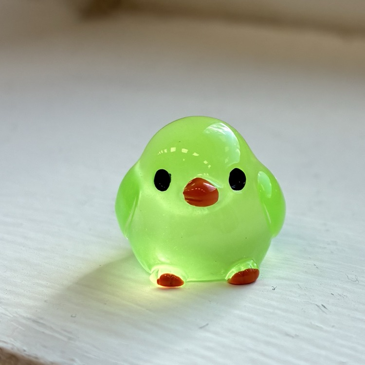 bird picture