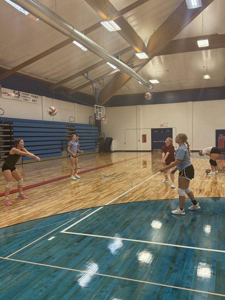 volleyball 