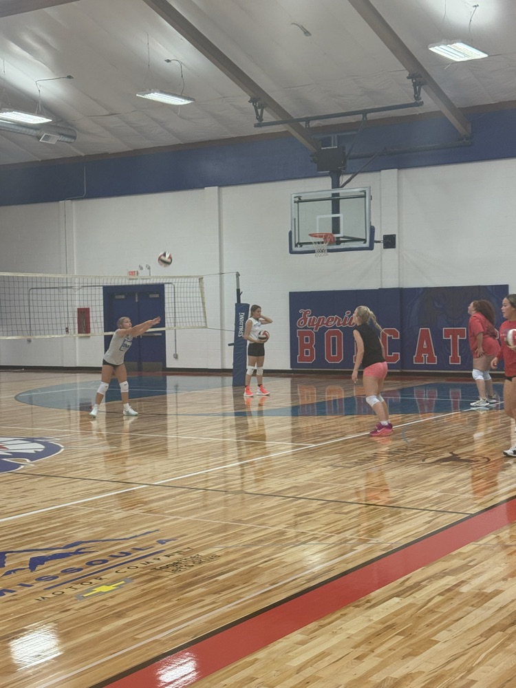 volleyball 