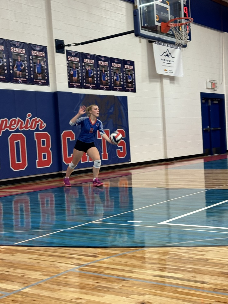 VB