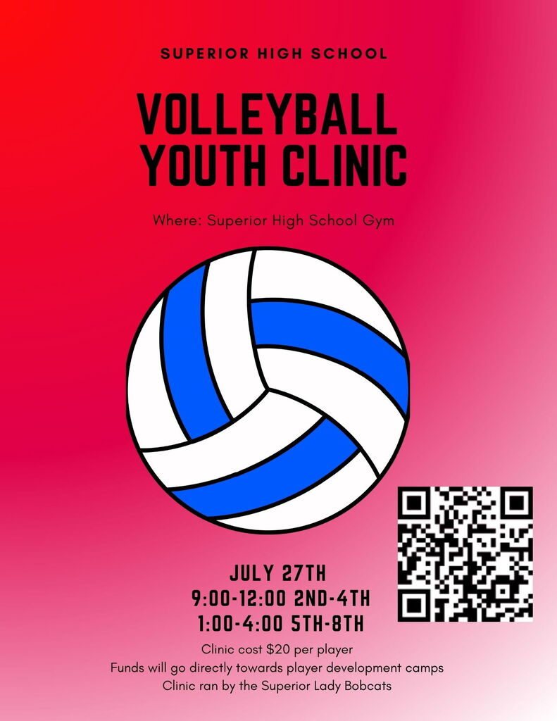 Volleyball Clinic