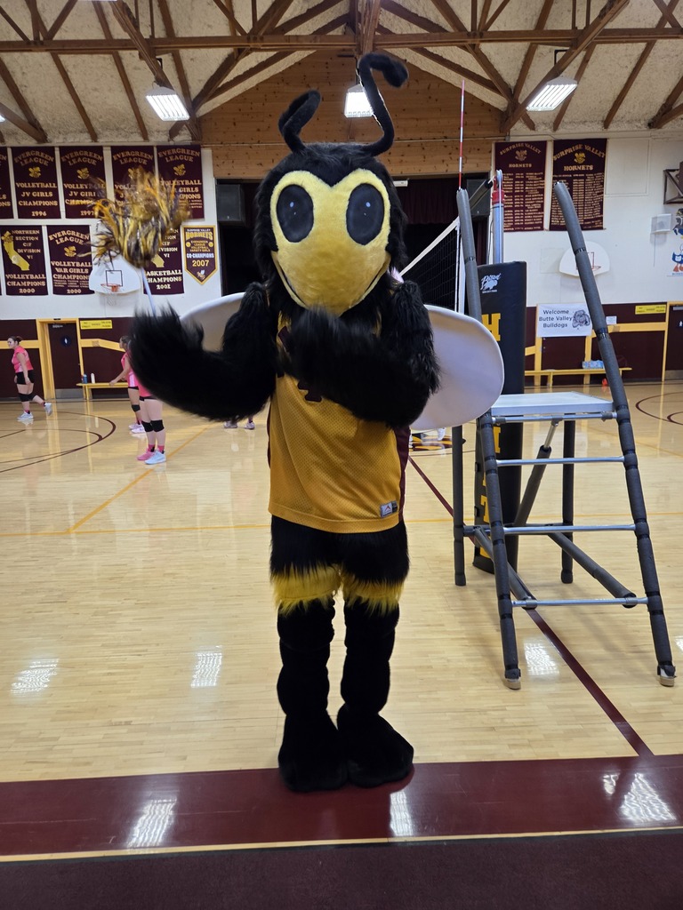 Hornet