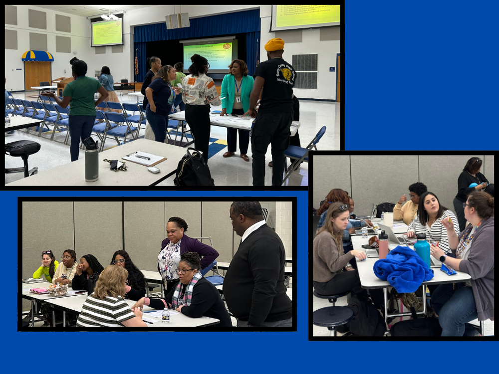 Novice Teacher Academy