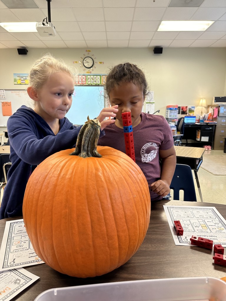 Pumpkin Experiment