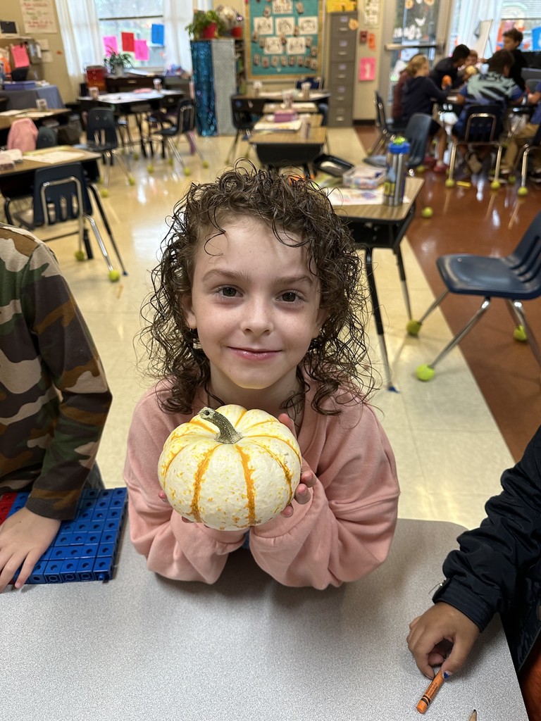 Pumpkin Experiment
