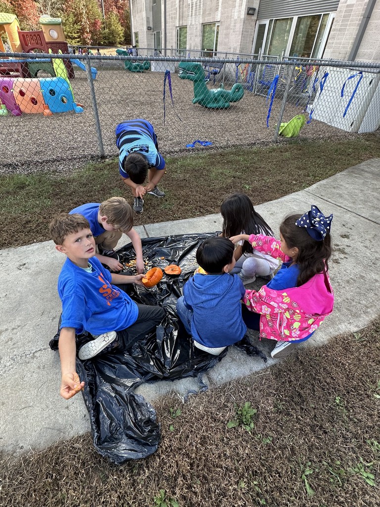 Pumpkin Experiment