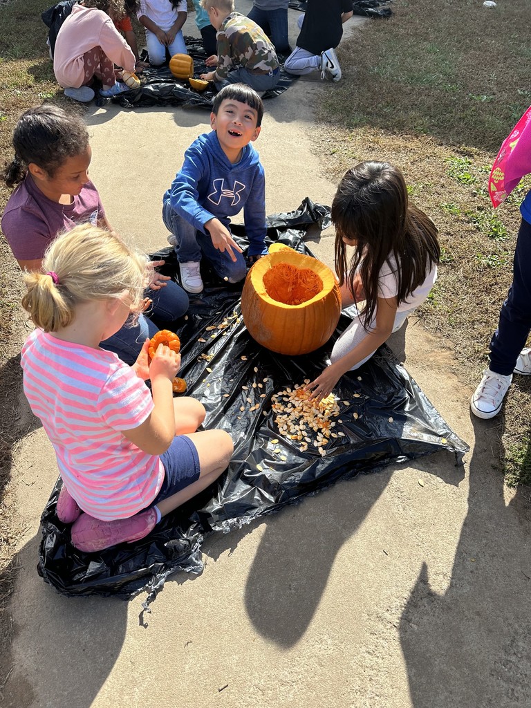 Pumpkin Experiment