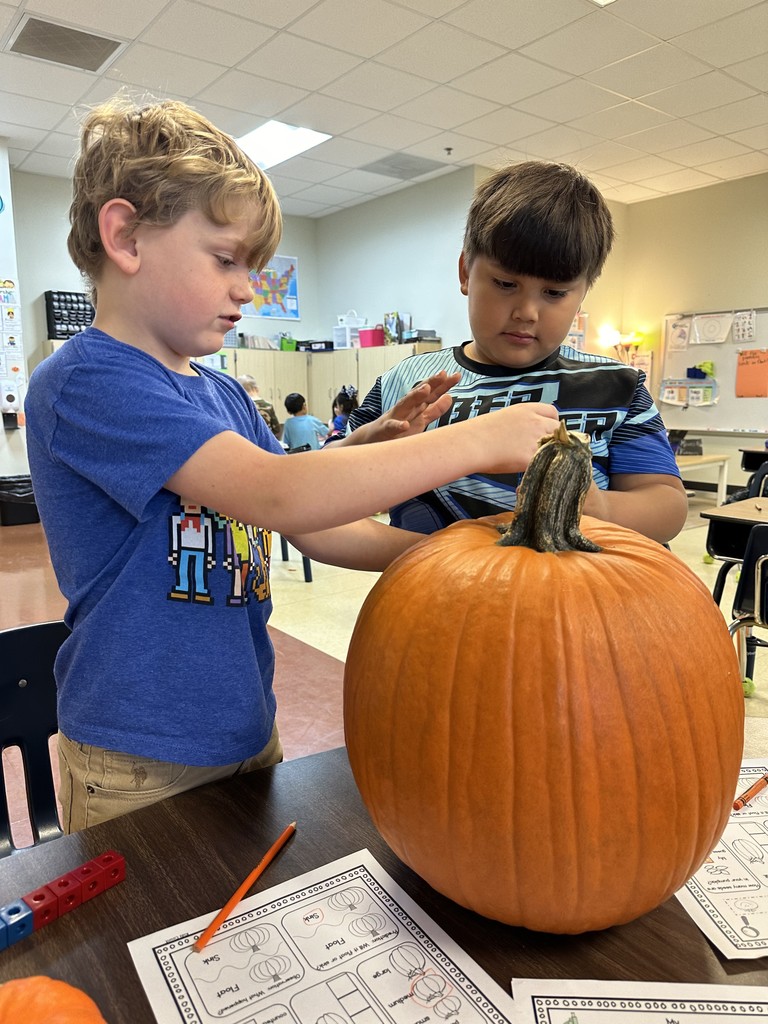 Pumpkin Experiment