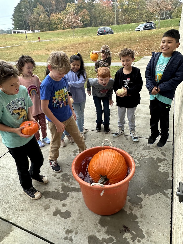 Pumpkin Experiment
