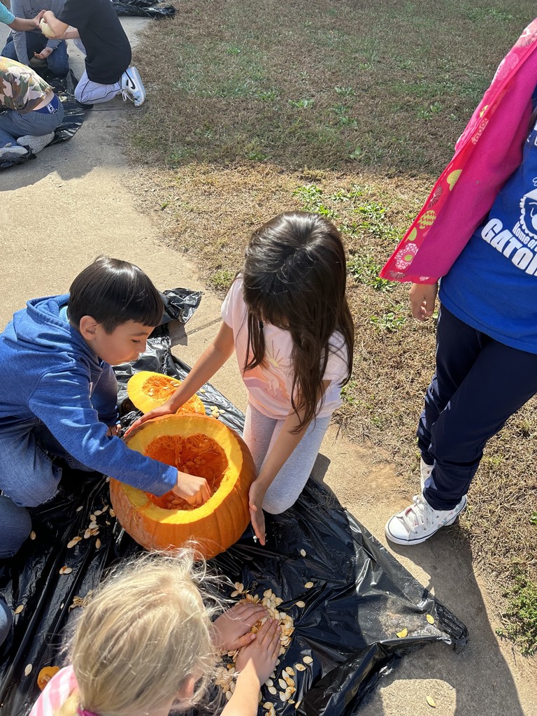 Pumpkin Experiment