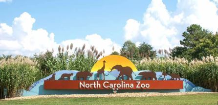 NC Zoo Field Trip