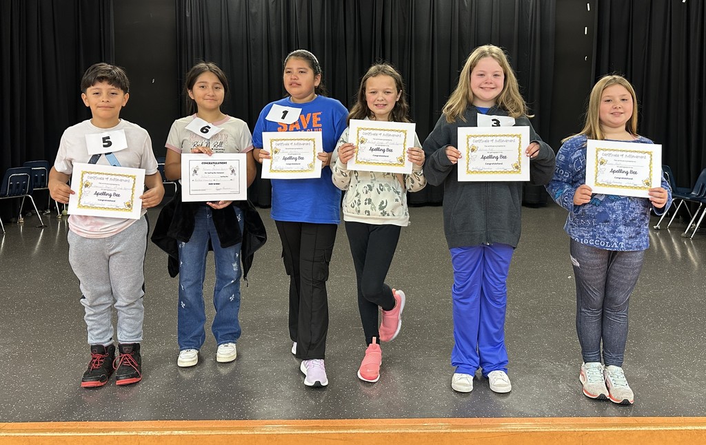 Spelling Bee