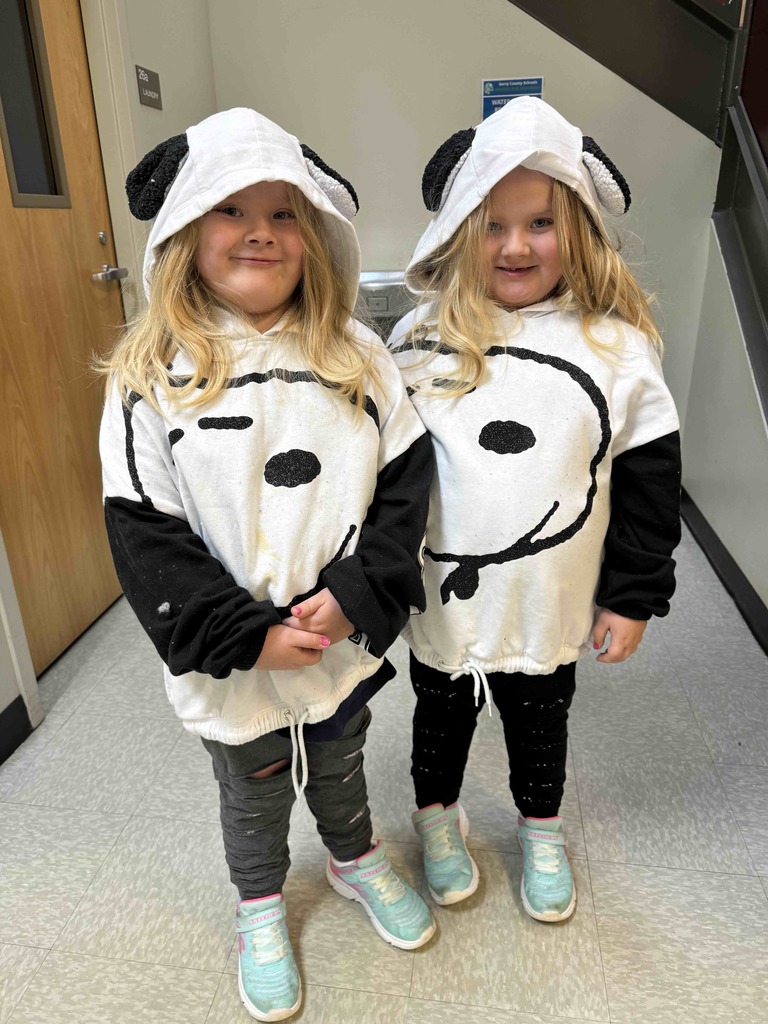 Dress Like a Twin